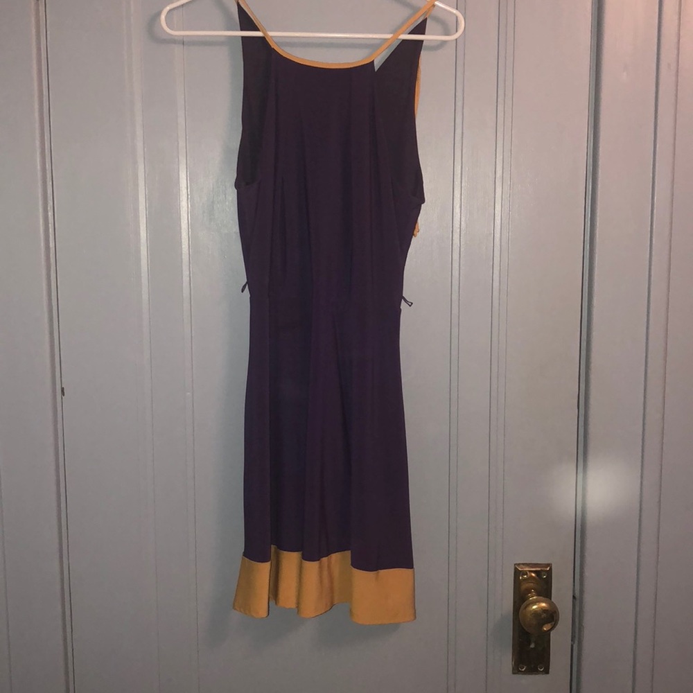 Purple and Gold Dress